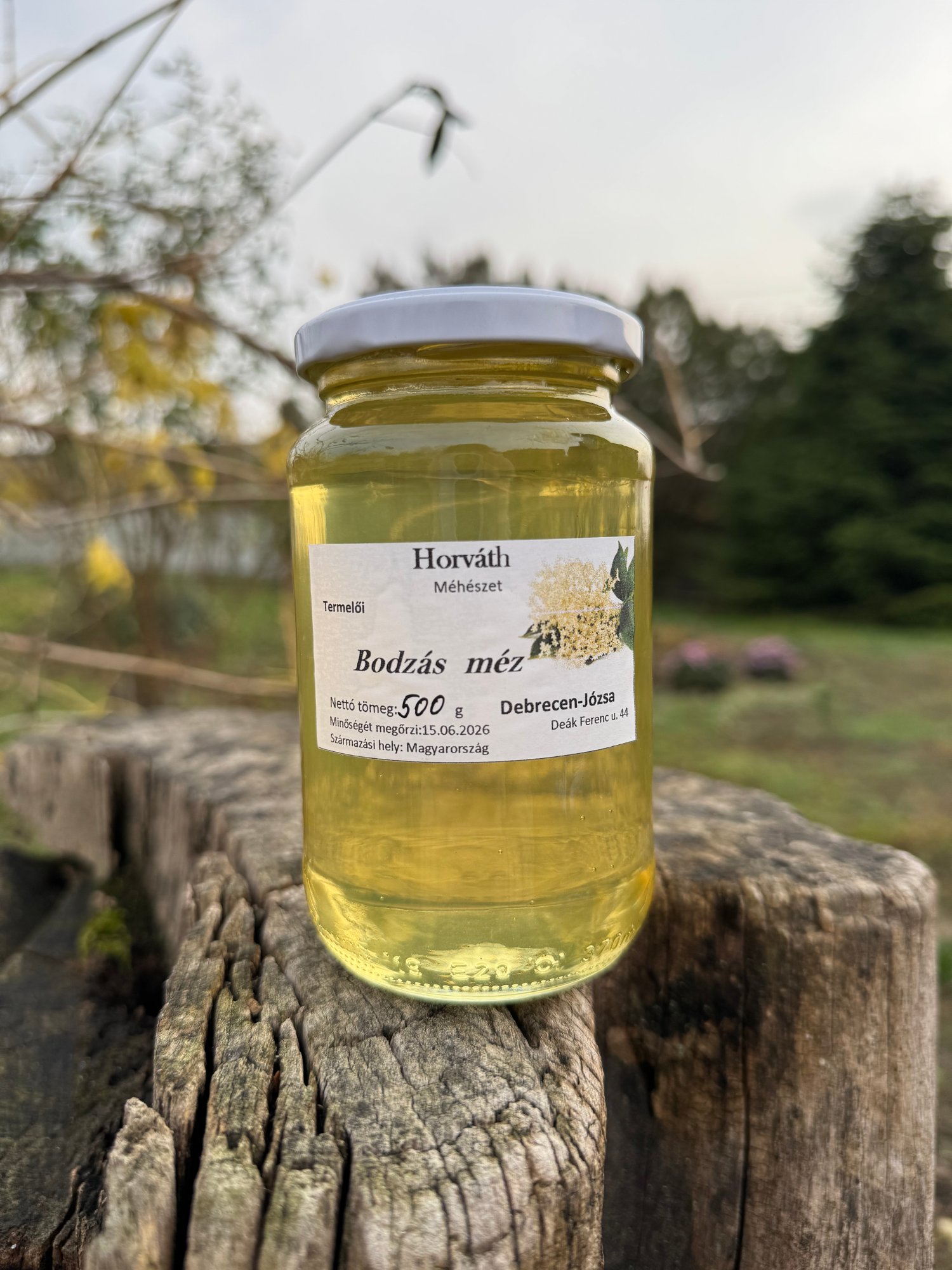 Bodzás Méz