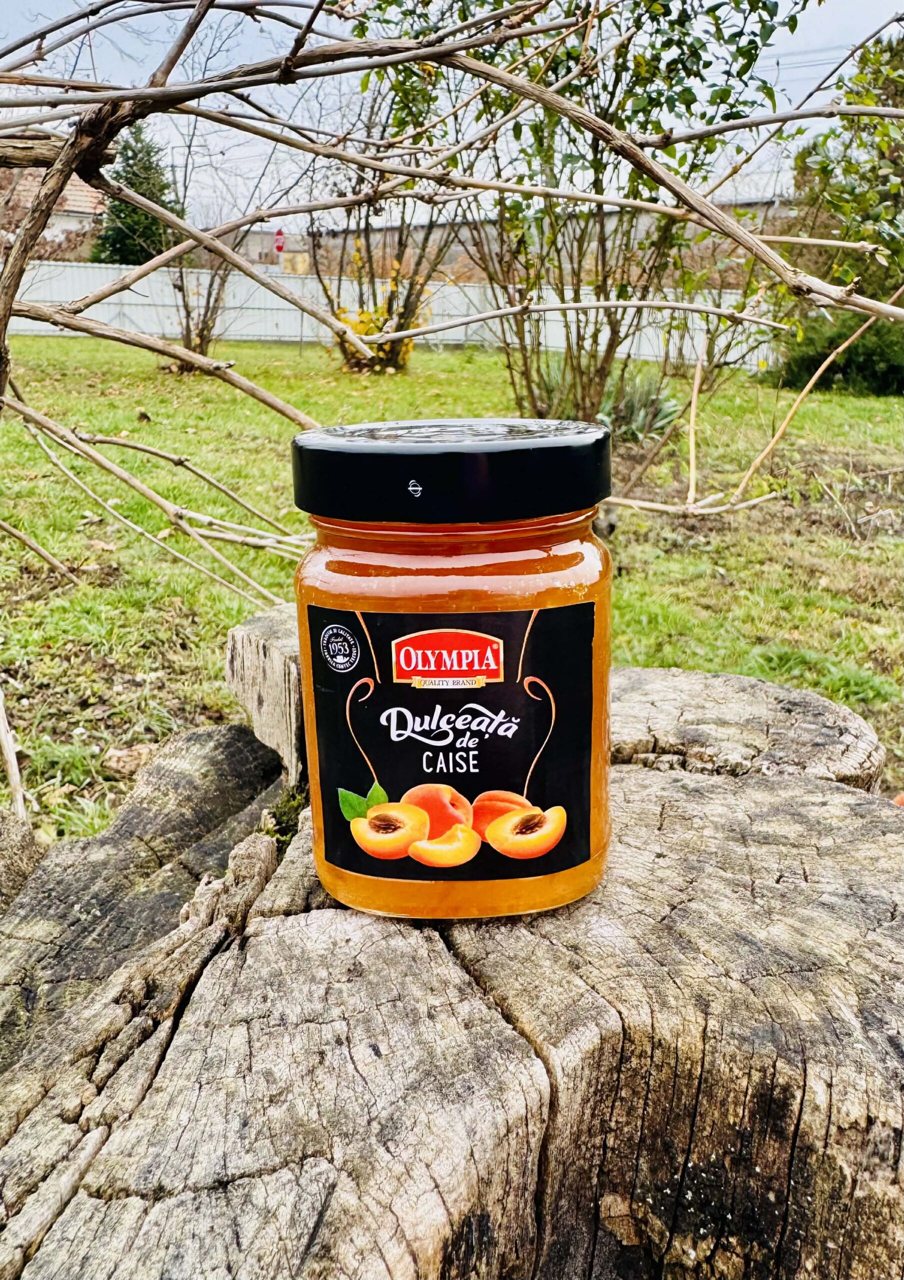 Sárgabarack Lekvár