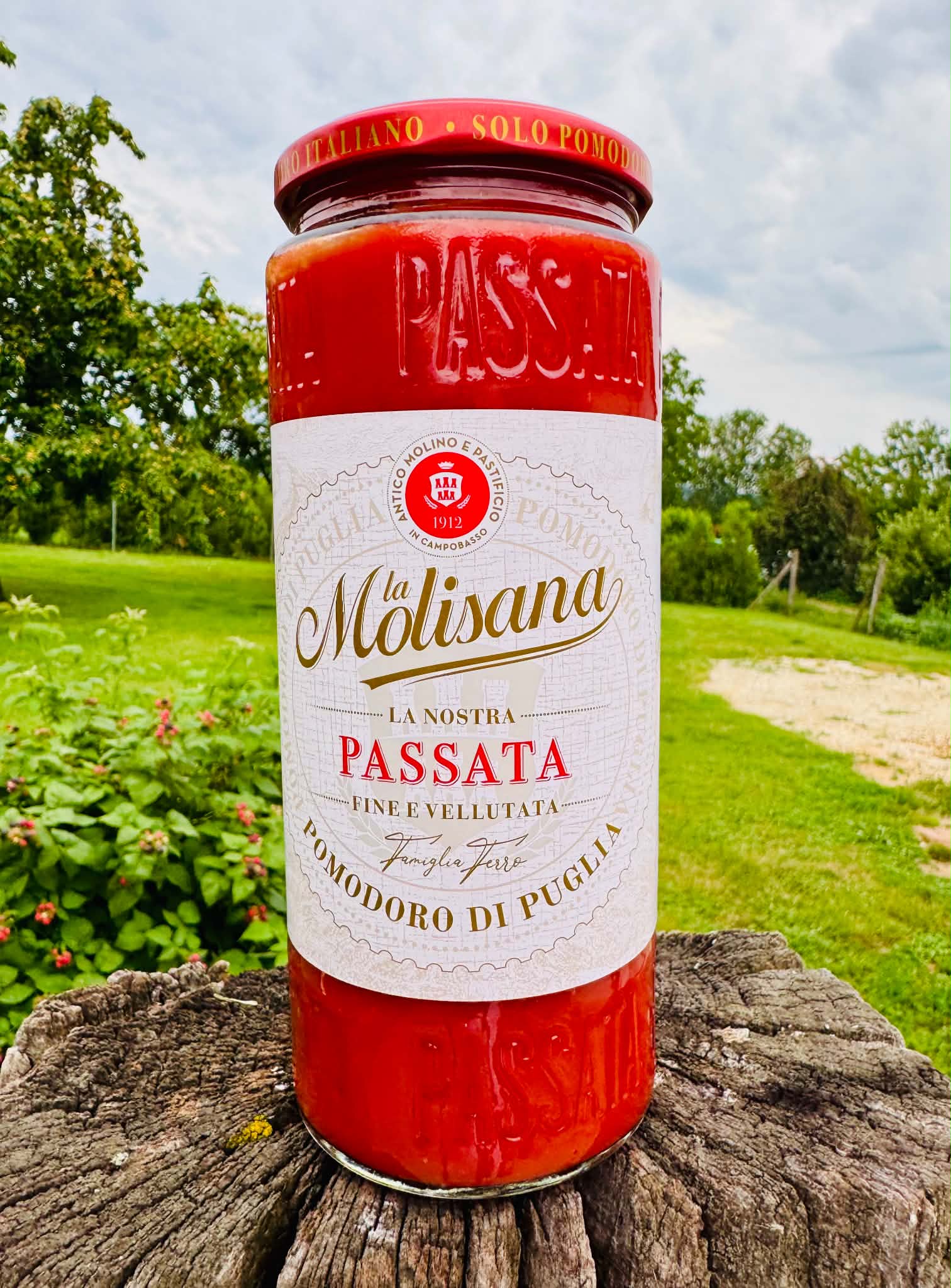 Olasz Paradicsom Szósz